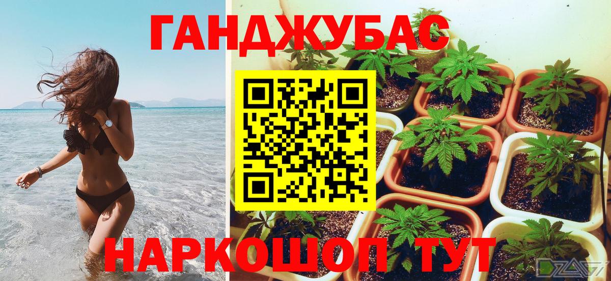 Шишки марихуана индика  Вход с VPN  Бошки марихуана марихуана  Выборг  Канабис ГИДРОПОН 